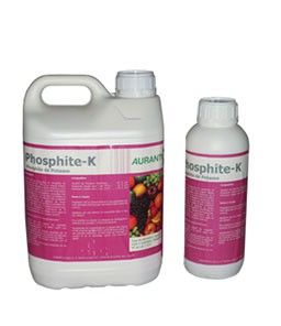 Phosphite K